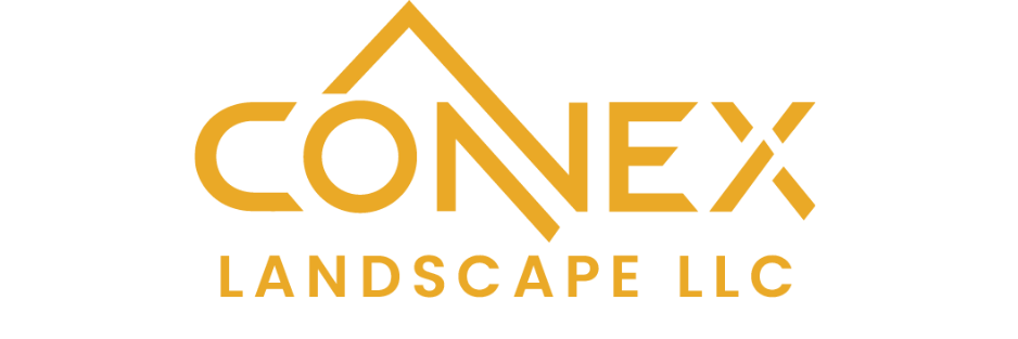 Clients log - Platino Sol - (6)